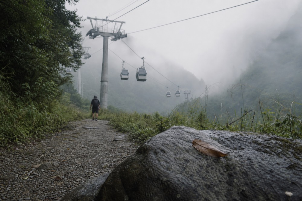 Row of cable car cabins moving along the haul rope above a forested hillside, no text, no logos, no people