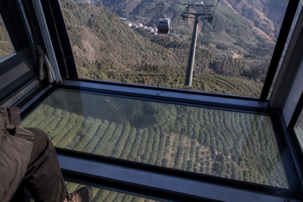 Reinforced glass floor of a cable car cabin seen from inside with treetops visible below, no text, no logos, no people