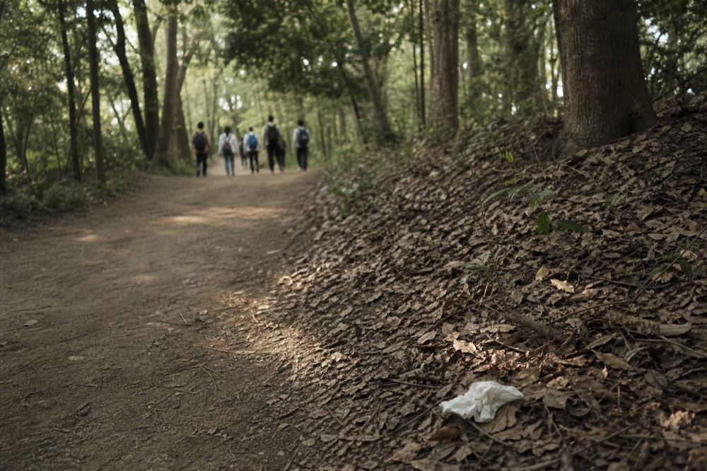 A guide leading a small walking group along a green city trail, no text, no logos, no people