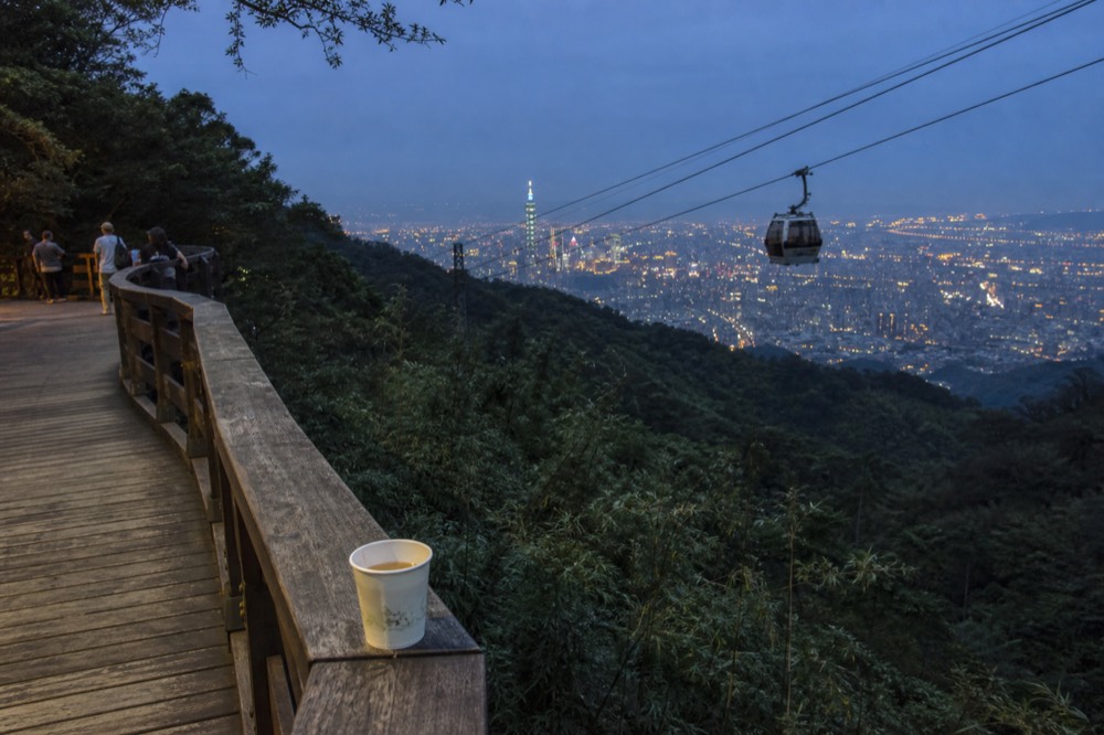 An elevated wooden boardwalk overlooking a forested valley at dusk, no text, no logos, no people