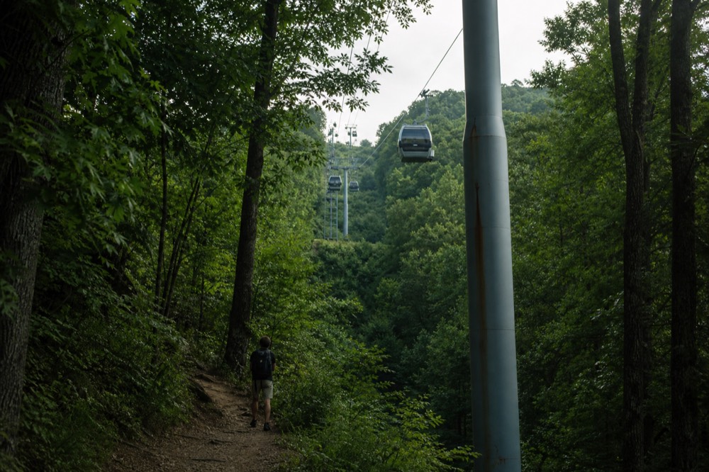 Gondola tower columns on a forested ridge with cabins passing between them, no text, no logos, no people