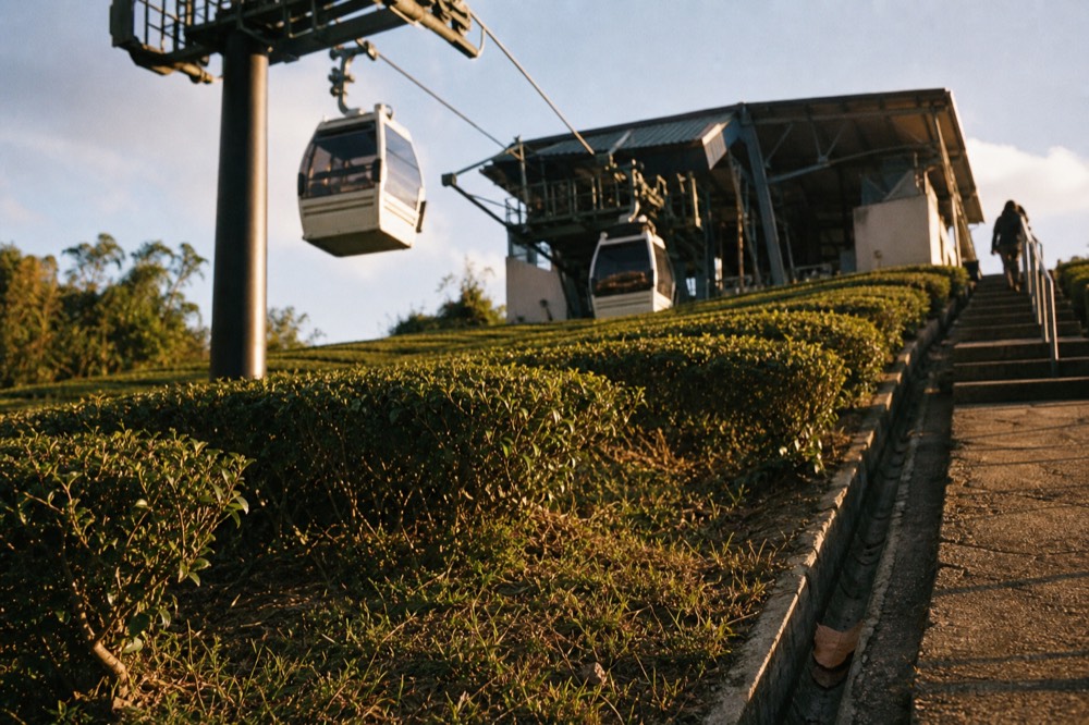 Gondola cabins arriving at a hilltop station above tea plantations, no text, no logos, no people