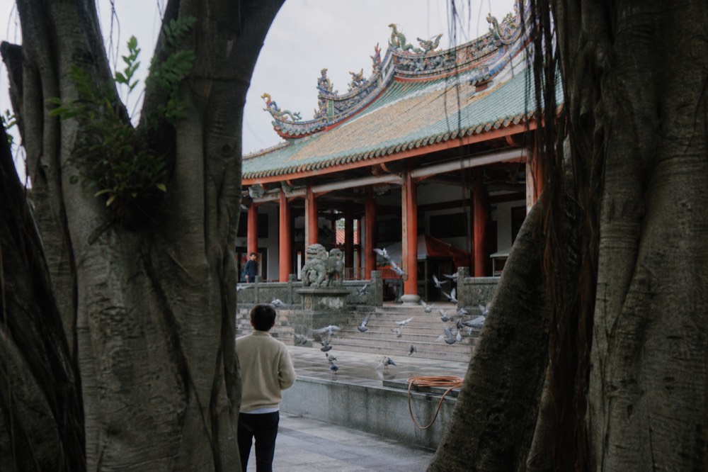Temple courtyard with stone terrace and layered hall roofs seen through trees, no text, no logos, no people